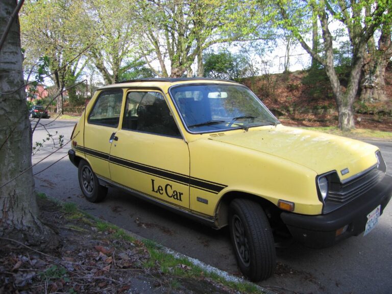 Renault 5 Le Car